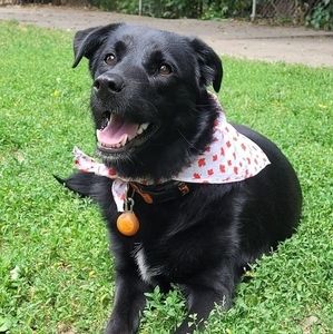 Meet your Posher, Vicky